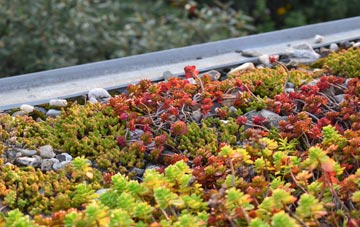 the cost of White Cross Hill green roof installation