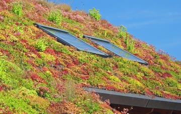 White Cross Hill living roof systems