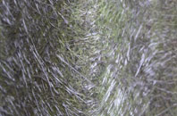 White Cross Hill fibreglass roof work